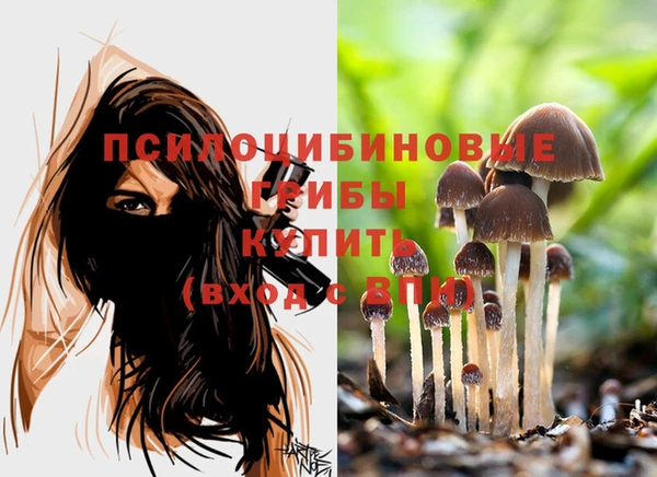 соль ск Аркадак