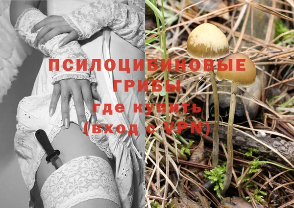 амф Липки
