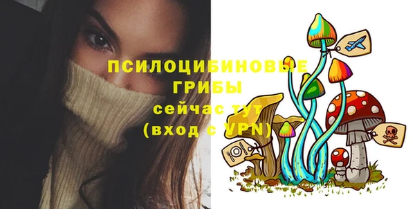 бутират Арсеньев