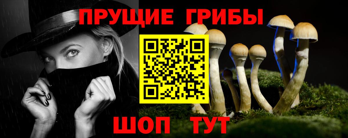 Псилоцибиновые грибы прущие грибы  Псилоцибиновые грибы прущие грибы  Вход с VPN  Унеча 